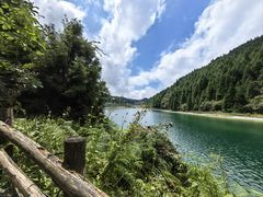 -武陵山森林公园