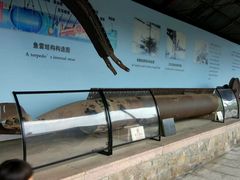 -刘公岛北洋海军提督署