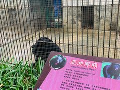 -南宁市动物园
