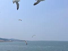 -长岛南北长山旅游景区