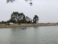 -大湾区中央湿地公园
