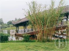 -眉山湿地公园(东坡区)