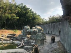 -宁波野生动物园