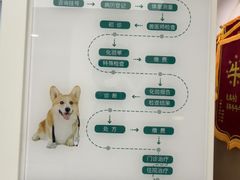-瑞派康怡24h宠物医院·犬猫医疗中心·微创绝育(瑞景分院)