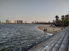 -五缘湾湿地公园