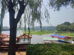 -白洋淀风景区