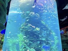 -多彩贵州城极地海洋世界