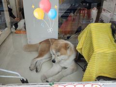 -餐酒吧Com-ing Bar(上海路店)