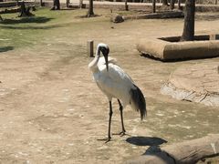 -哈尔滨北方森林动物园