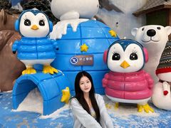 -湘江欢乐城欢乐雪域