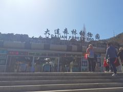 -大连森林动物园