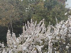 -南山风景名胜区