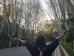 -灵谷景区