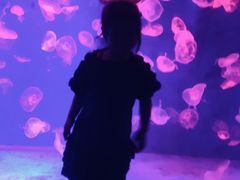 -皇家极地海洋世界-售票处