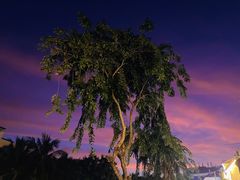 -三亚南山文化旅游区