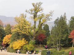 -香山公园-东宫门售票处
