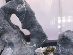 -马家斑.鲜鱼火锅(松湖万科店)