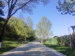 -北京张裕爱斐堡酒庄
