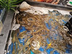 -亚马逊海鲜自助(梅溪湖步步高店)