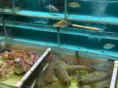 -强记海鲜·大排档(蛇口新街店)