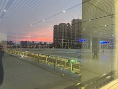 -海合安成都极地海洋公园