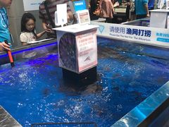 -盒马X会员店(王府井奥莱UP TOWN店)