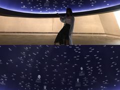 -张之洞与武汉博物馆