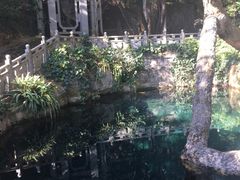 -蝴蝶泉公园
