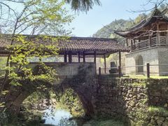 -四明山国家森林公园