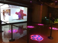 -奇幻丛林(佛罗伦萨小镇店)