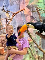 -Zoolung Zoolung动物主题公园(海信广场店)