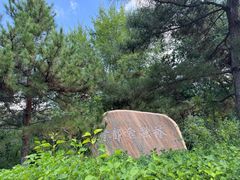 -红山国家森林公园