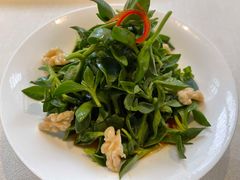 醋汁田七苗-逸道(益丰·外滩源店)