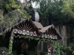 -西双版纳原始森林公园