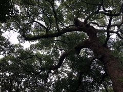 -河坊街景区