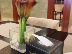 -郑州新郑国际机场T2航站楼-贵宾厅B区