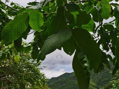 -北京山里寒舍度假酒店