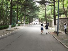 -八大关景区