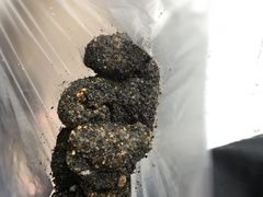 叶氏麻糍-叶氏麻糍(鼓浪屿店)