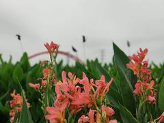 -那考河湿地公园