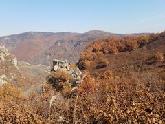 -MOJO密室逃脱(中街旗舰店)