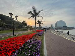 -野狸岛