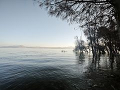 -洱海月湿地公园