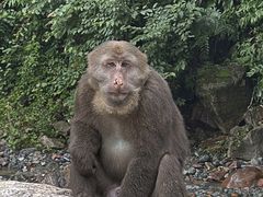 -西岭雪山大飞水景区