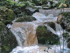 -赤水丹霞旅游区·佛光岩