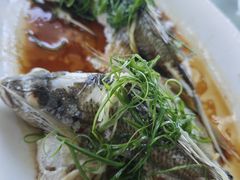 -八仔大富楼·河鲜(西江店)