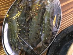 黑虎虾-嘉升大排档(番禺总店)