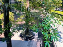 -广州天河希尔顿酒店