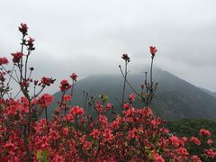 -梧桐山风景名胜区