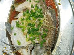 清蒸鳊鱼-石岐乳鸽村(南海第三分店)